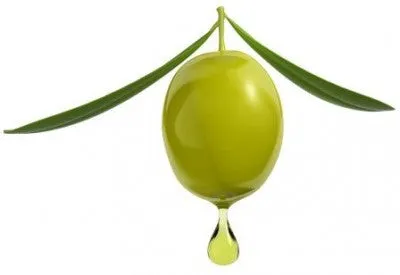 100% Pure Olive Squalane Oil | Imported From Italy