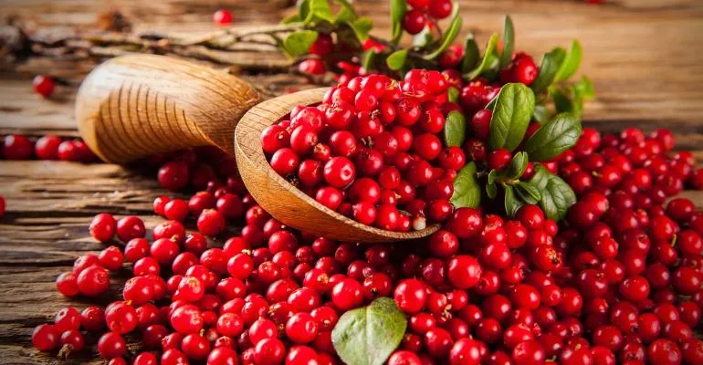 100% Pure Organic Virgin Cranberry Seed Oil | Imported From Canada