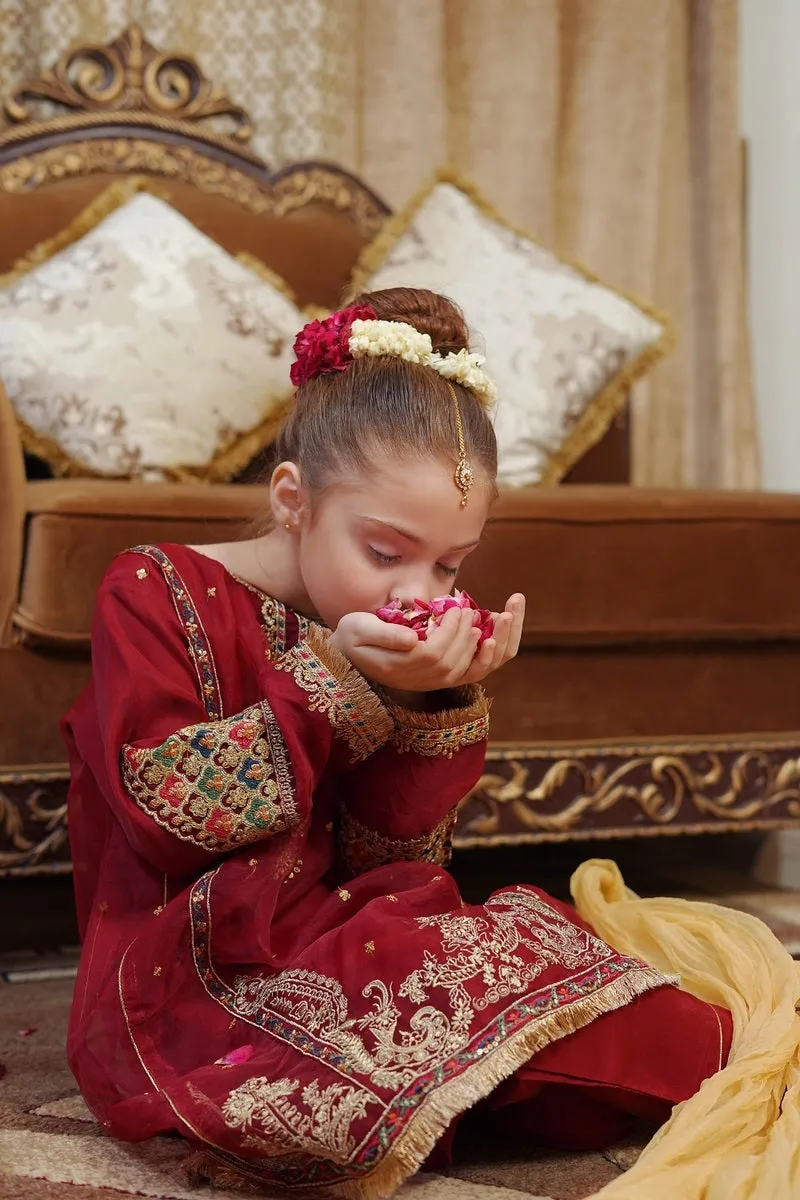 Jashan by Shanzey Kids Formals Pret Collection'2023-SHK-1503